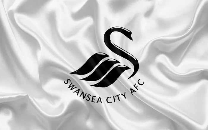 Lịch Sử CLB Swansea – Câu Lạc Bộ Lâu Đời Của Bóng Đá Anh