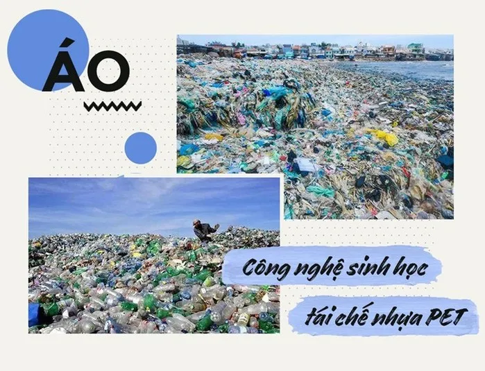 Top +10 Ý Tưởng Tái Chế Rác Thải Nhựa Thiết Thực & Độc Đáo